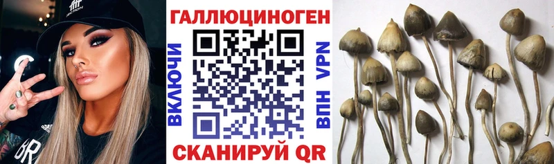 Галлюциногенные грибы GOLDEN TEACHER  Купить где  Петушки 
